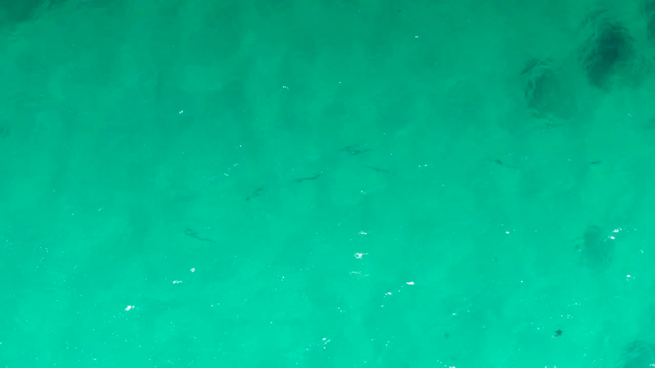 Turquoise ocean water with small dark fish below the surface.