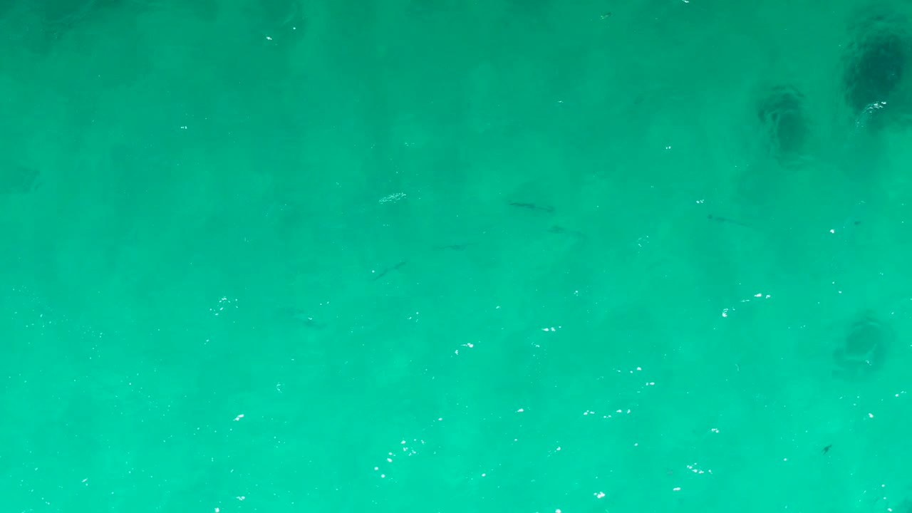 Aerial-looking frame from Laguna Beach Los Cabos with faint fish under turquoise water, darker patches below the surface, and no visible people.