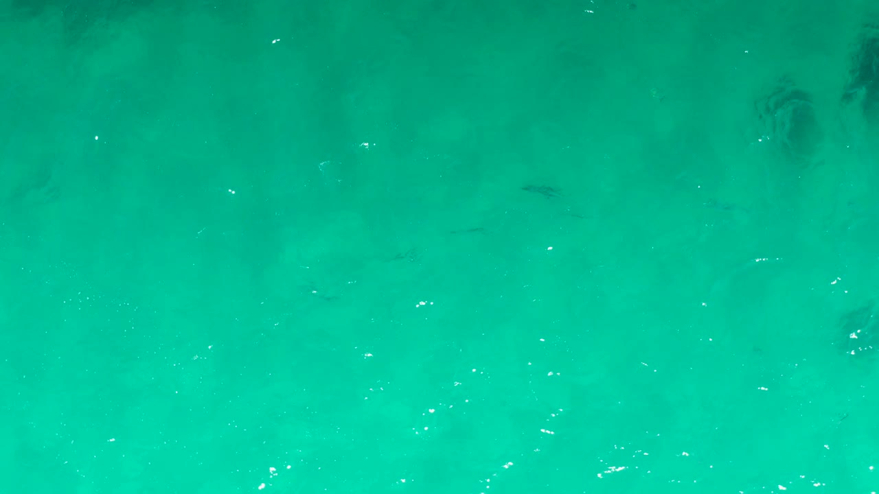 Top-down Laguna Beach Los Cabos water view with small fish, rippled highlights, soft underwater shadows, and no visible people.