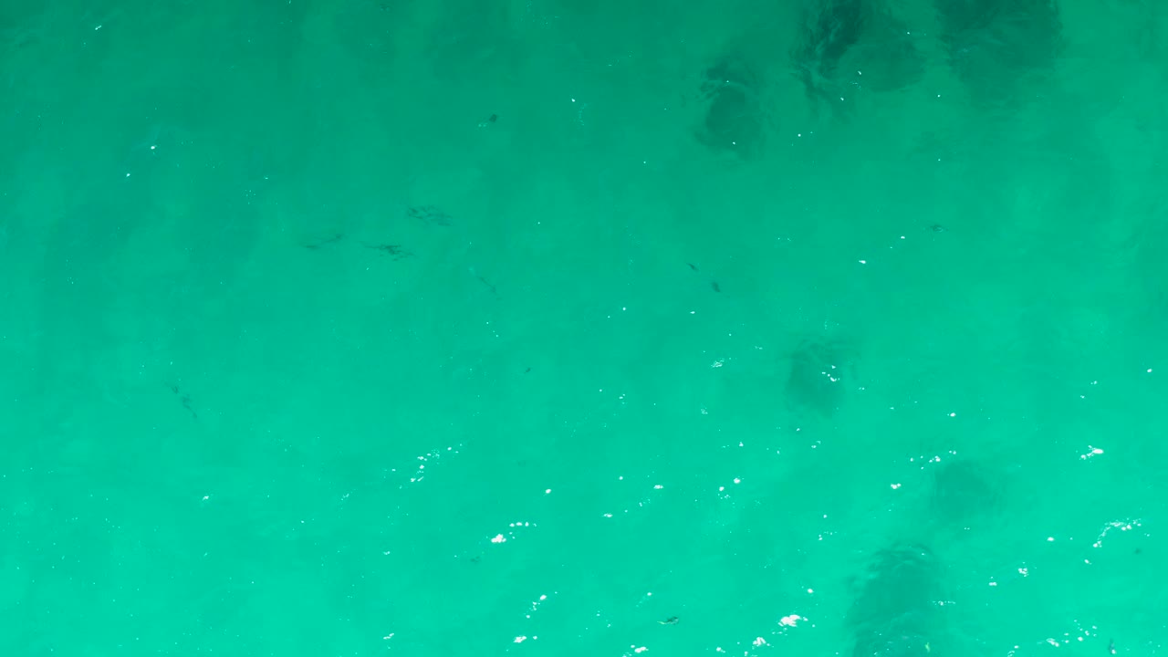 Turquoise shallow ocean water with faint fish and dark underwater patches.