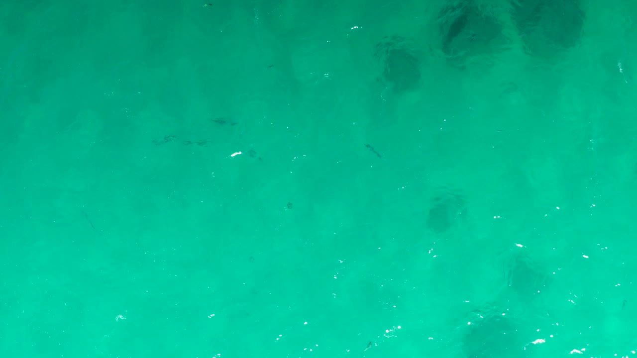 Aerial frame over turquoise Laguna Beach Los Cabos ocean with thin fish silhouettes in the lower half, hazy darker features under the water, surface sparkle, and no visible people.