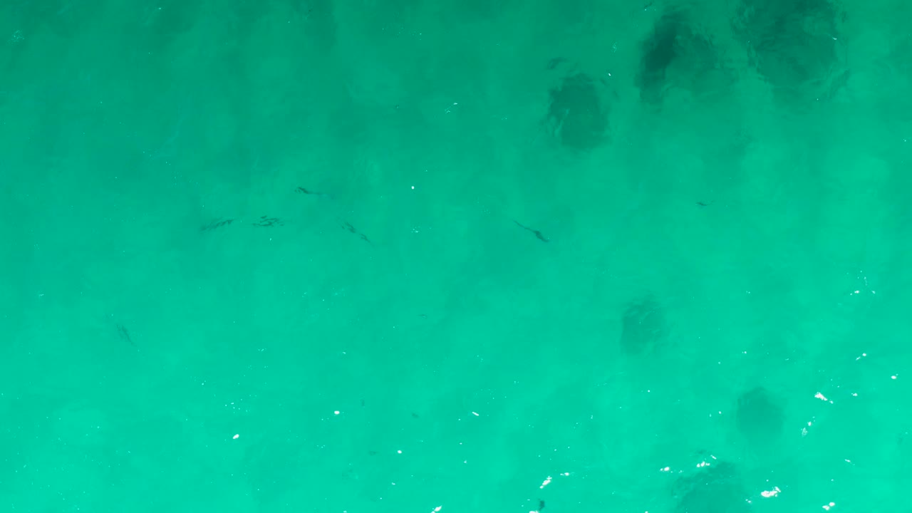 Mid-clip overhead view of clear Laguna Beach Los Cabos water, with darker submerged forms drifting through the upper and lower areas, faint fish marks, ripples, and no visible people.
