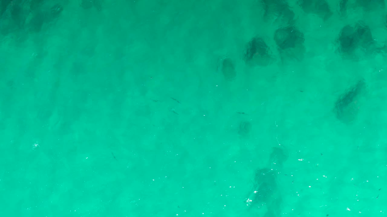 Turquoise shallow water with dark submerged patches and small fish.
