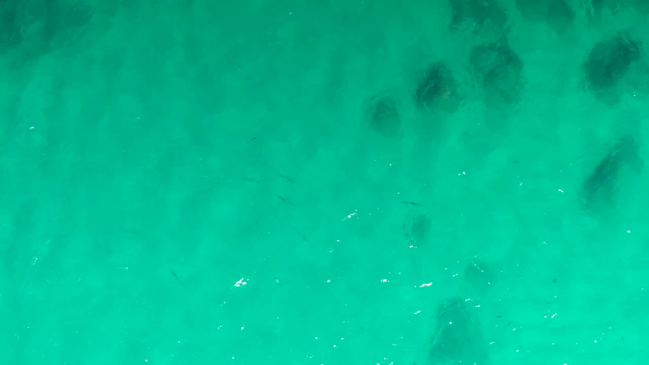 Turquoise ocean water at Laguna Beach Los Cabos fills the frame, with faint small fish, soft ripple highlights, dark submerged rocks or coral, and no visible people.