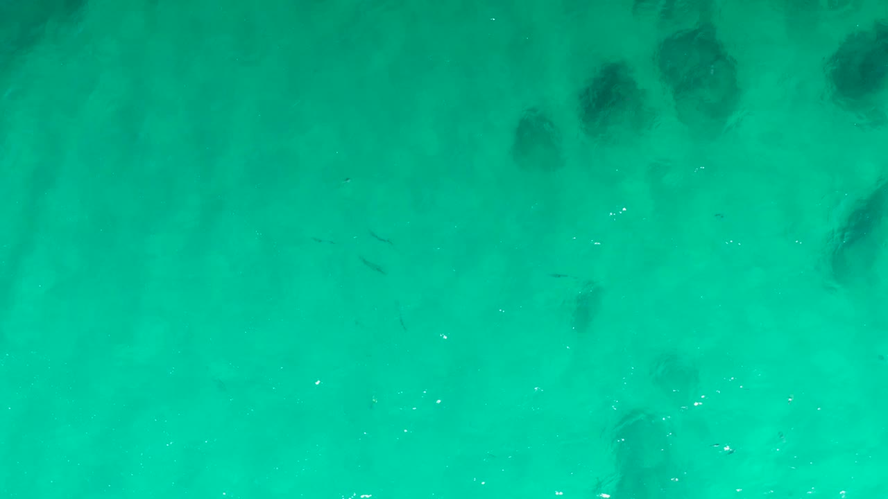 Shallow turquoise water at Laguna Beach Los Cabos shows larger clustered dark submerged patches beneath a lightly rippled surface, with no visible people.
