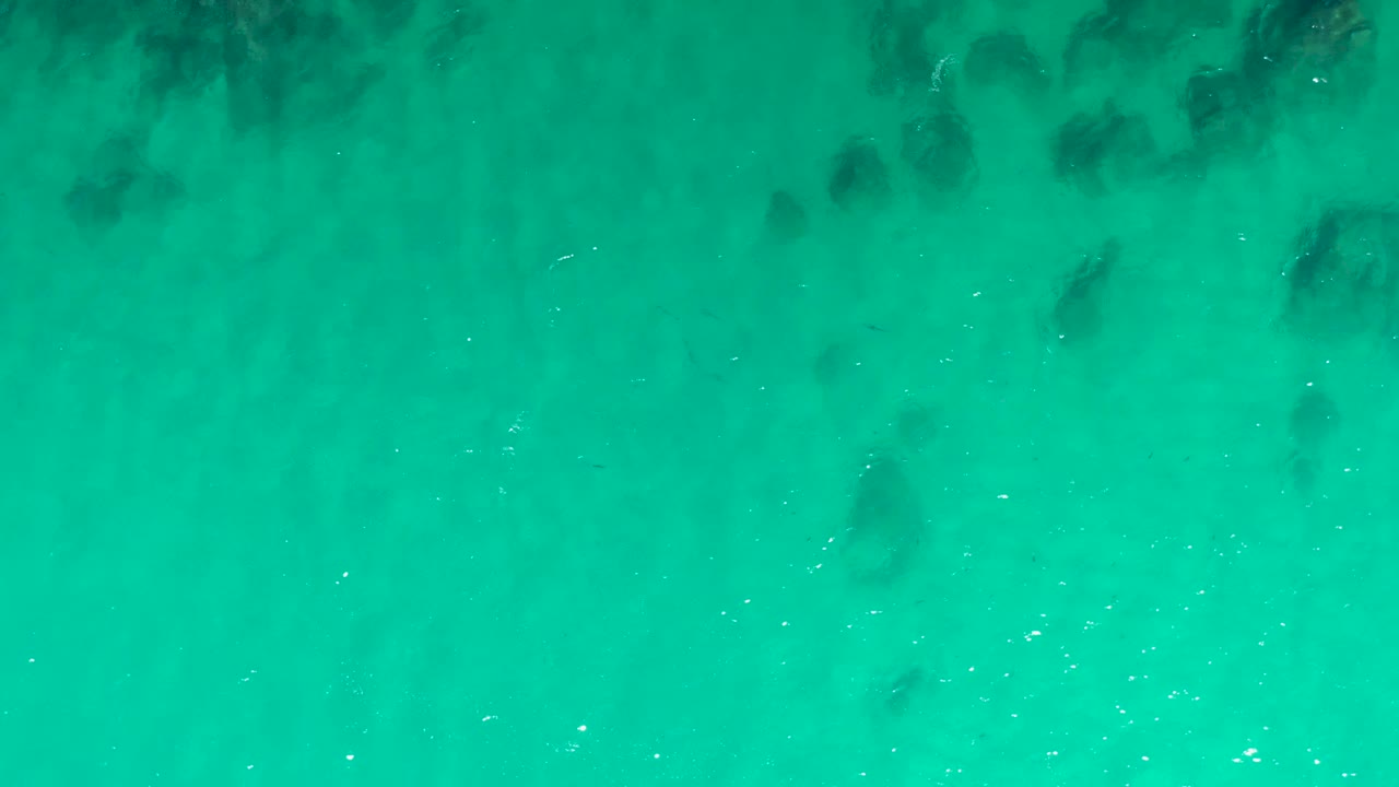Aerial top-down view of turquoise ocean at Laguna Beach Los Cabos, with scattered dark underwater patches and small bright specks on the surface, no visible people.