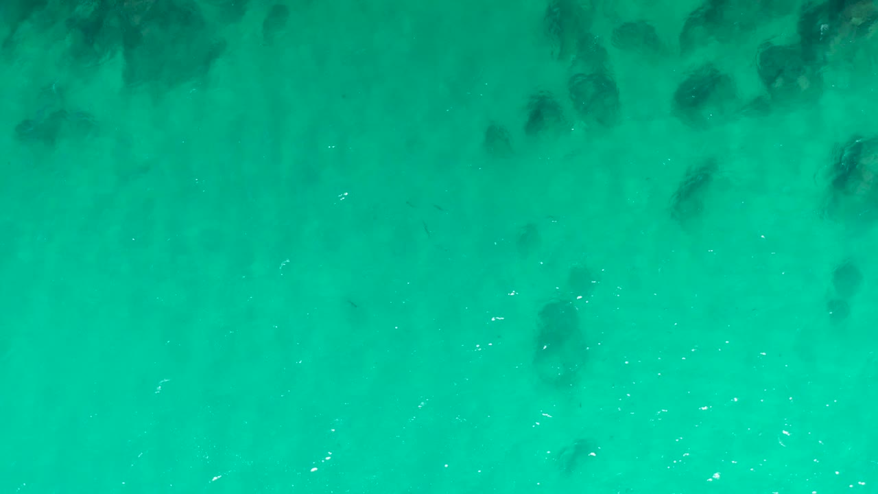 Top-down aerial frame of green-blue water in Laguna Beach Los Cabos, with more clustered dark submerged rock or coral shapes across the upper half and no visible people.