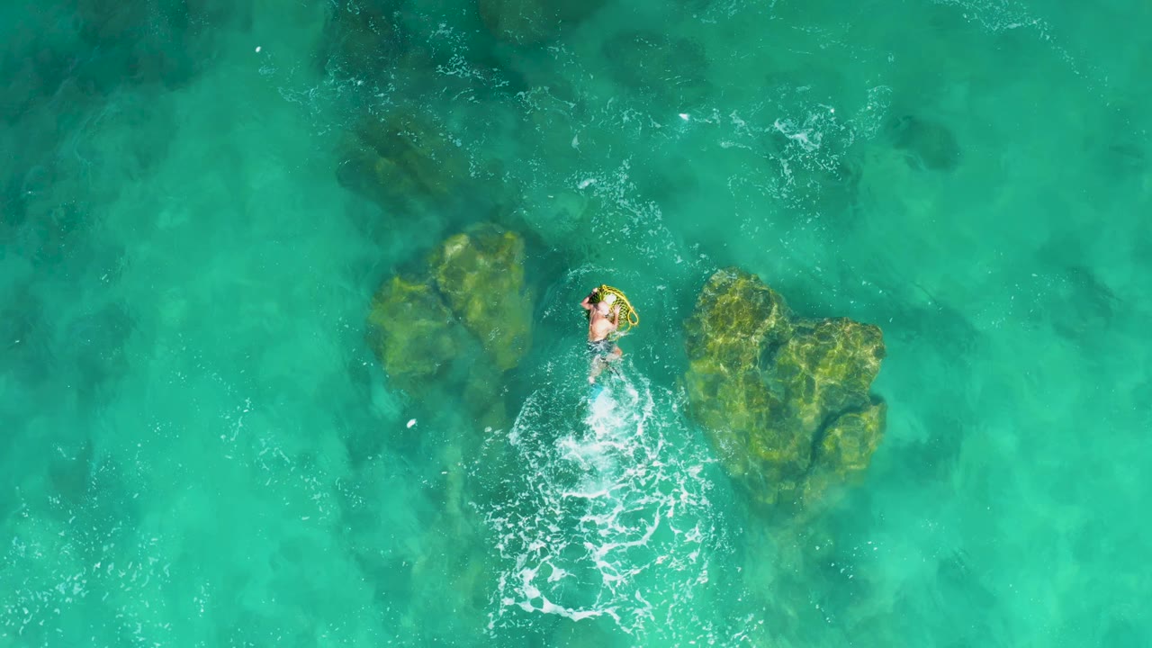 At Laguna Beach Los Cabos, an overhead view shows a person swimming beside green-brown submerged rocks in bright turquoise water.