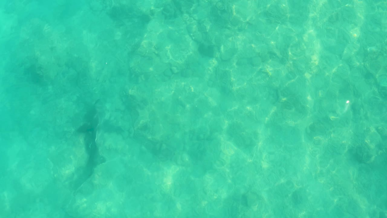 A darker shark form is visible near the middle of the turquoise frame, passing over a mottled rocky seabed in Cabo Pulmo, Mexico, with no visible people.