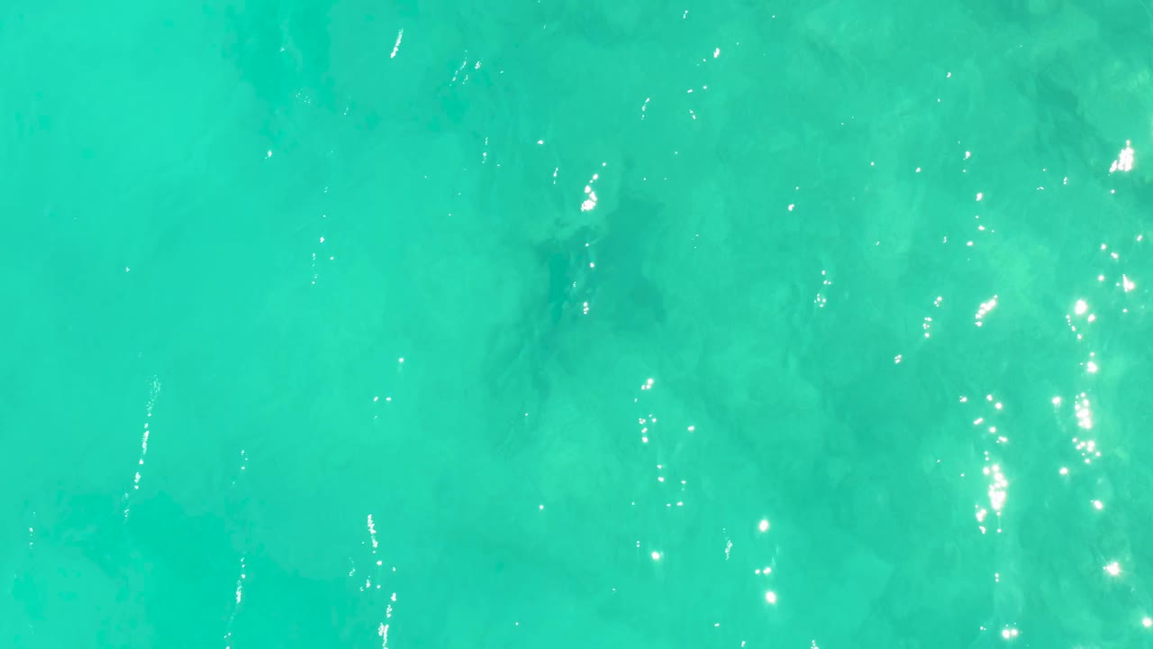 Turquoise shallow water with a faint stingray shape below the surface.