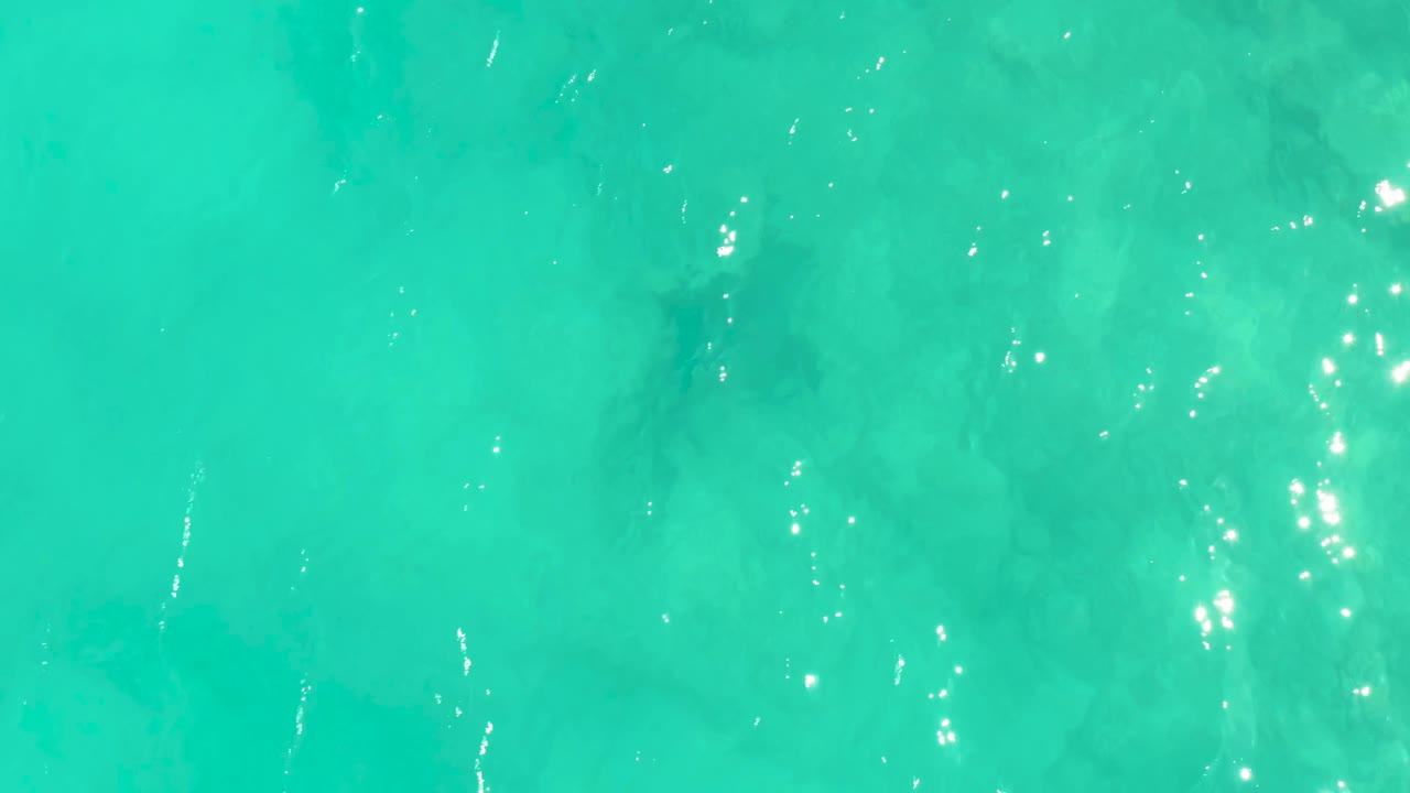 At 0:01 in Cabo Pulmo, the stingray silhouette is more legible under bright rippled turquoise water, with no visible people.