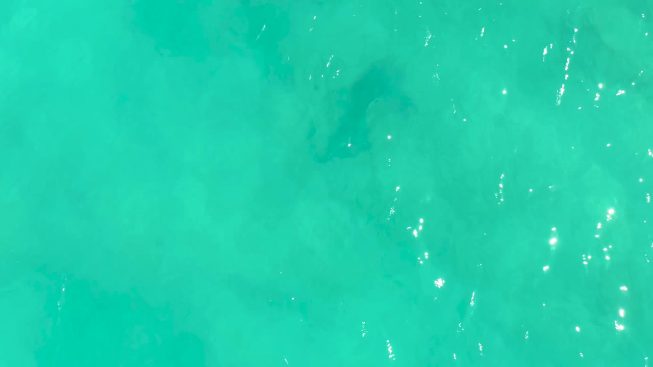 At 0:02 in Cabo Pulmo, the stingray sits below a patch of clear turquoise water while small sunlight sparkles mark the surface, with no visible people.
