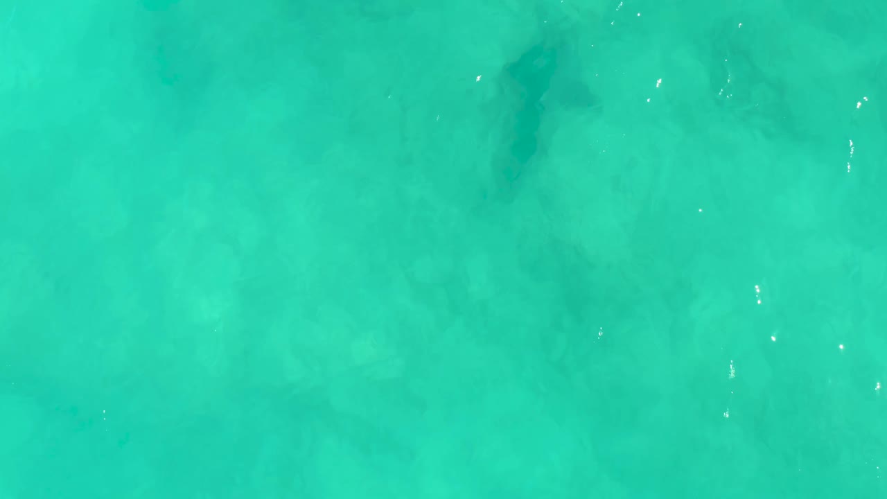 At 0:03 in Cabo Pulmo, a dark stingray shape crosses the shallow turquoise ocean water against a mottled sandy bottom, with no visible people.