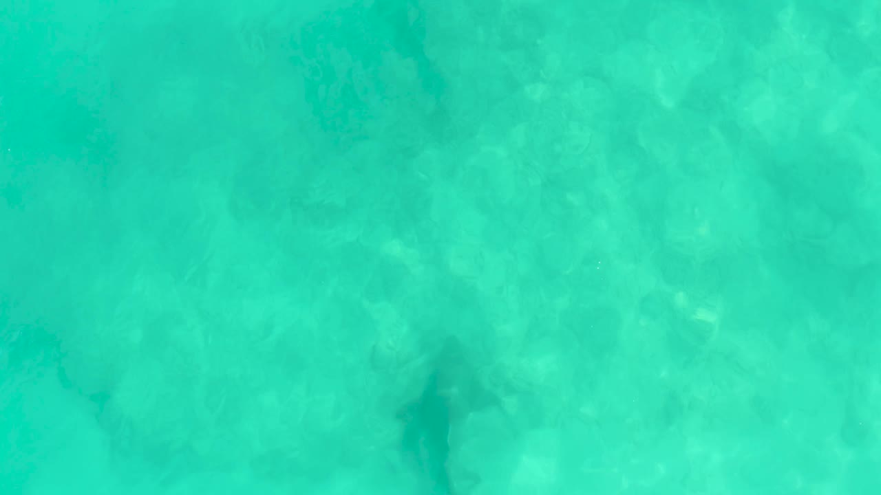 The shark appears faintly below rippled turquoise water in Cabo Pulmo, partly softened by the surface glare, with no visible people.