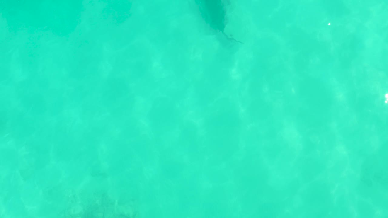 Turquoise ocean water with a dark stingray form below the surface.