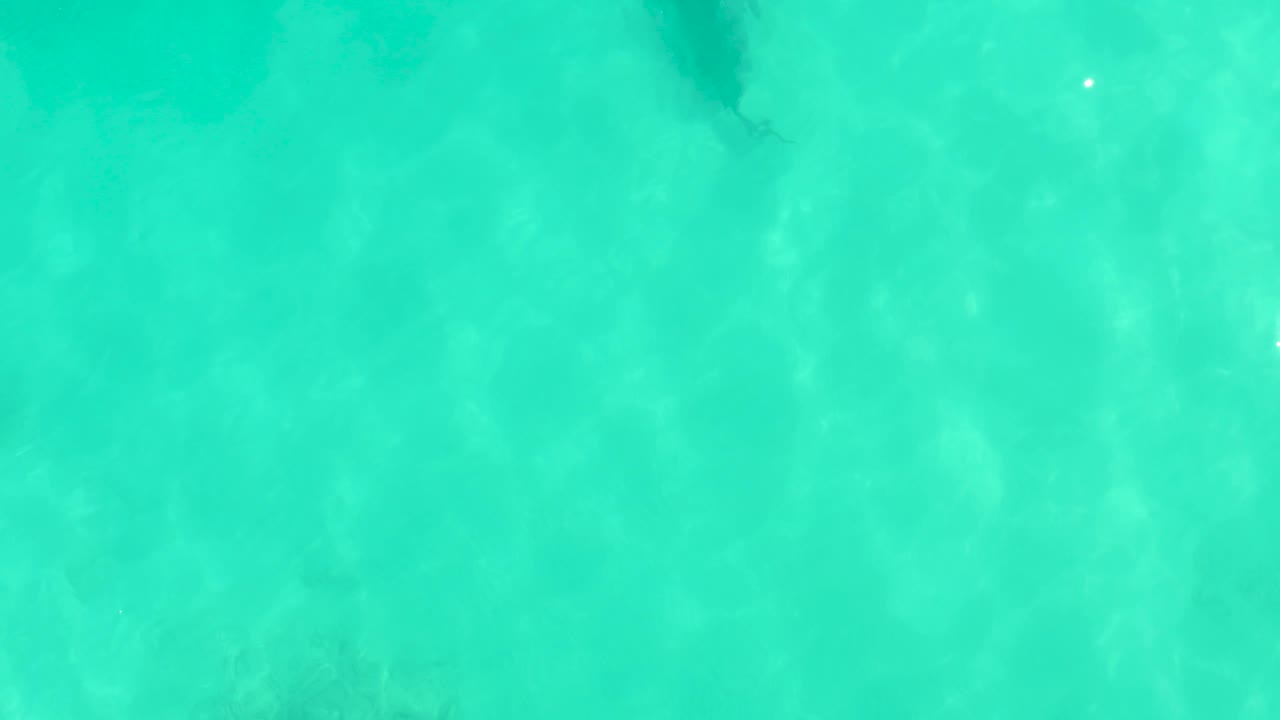 Clear turquoise ocean water in Cabo Pulmo, Mexico, with the stingray form slightly lower in the view, soft floor shadow, and no visible people.