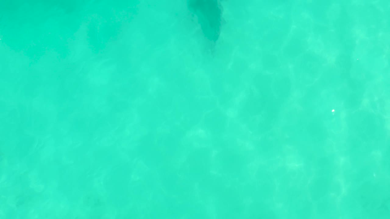 Overhead turquoise water in Cabo Pulmo, Mexico, with the stingray appearing faintly beneath the surface near the left side and no visible people.