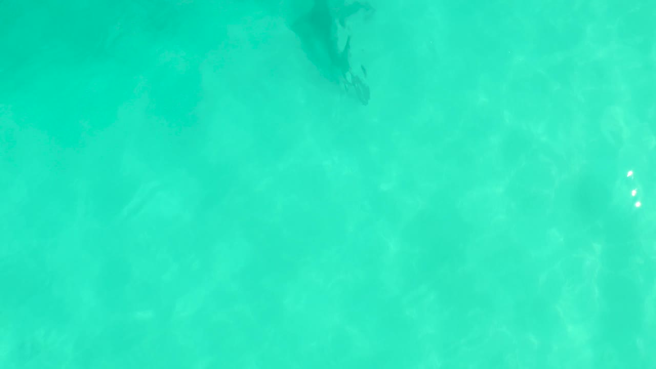 Clear turquoise water in Cabo Pulmo, Mexico, with a darker stingray silhouette visible beneath the ripples near the right side and no visible people.