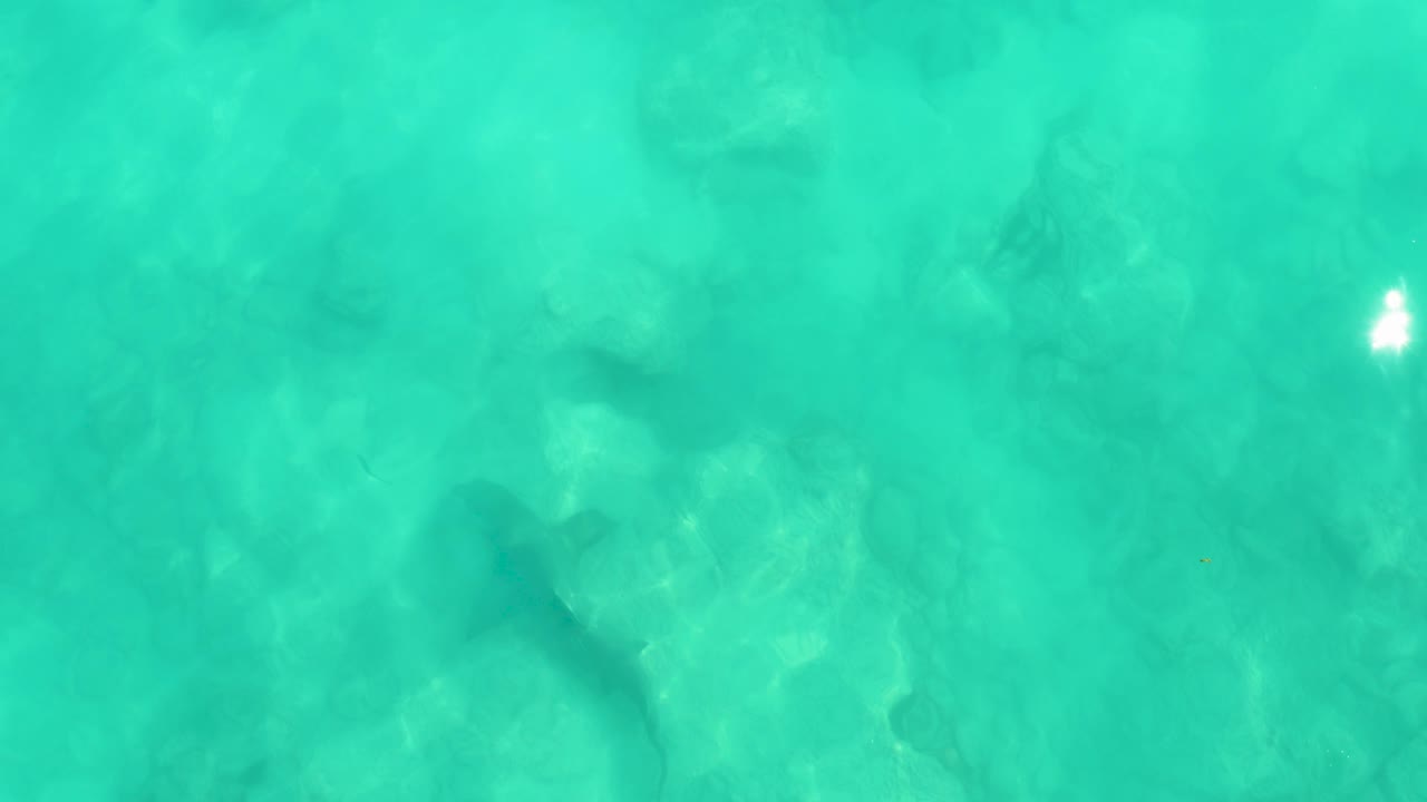 At 0:00 in Cabo Pulmo, a stingray appears below clear turquoise water with a dark body and tail over the sandy bottom, with no visible people.