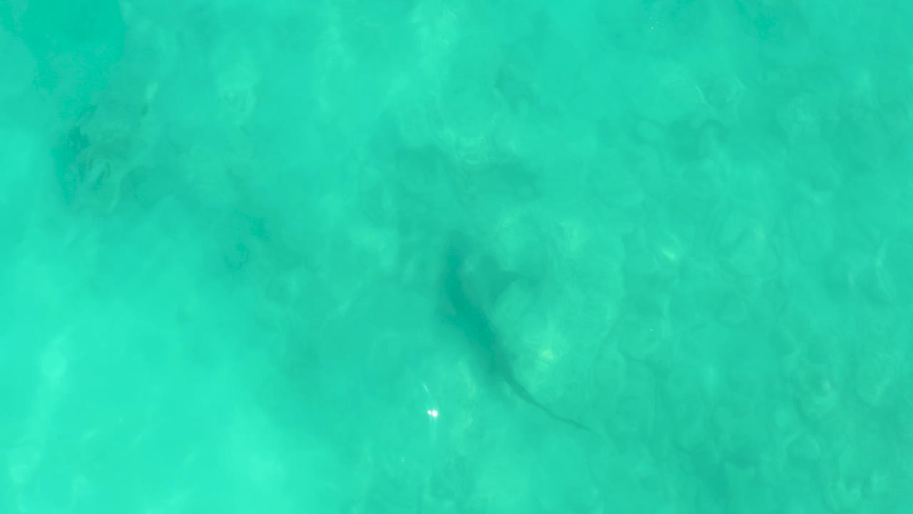 A dark shark-shaped shadow sits under bright turquoise Cabo Pulmo water while small white sun reflections mark the rippled surface, with no visible people.