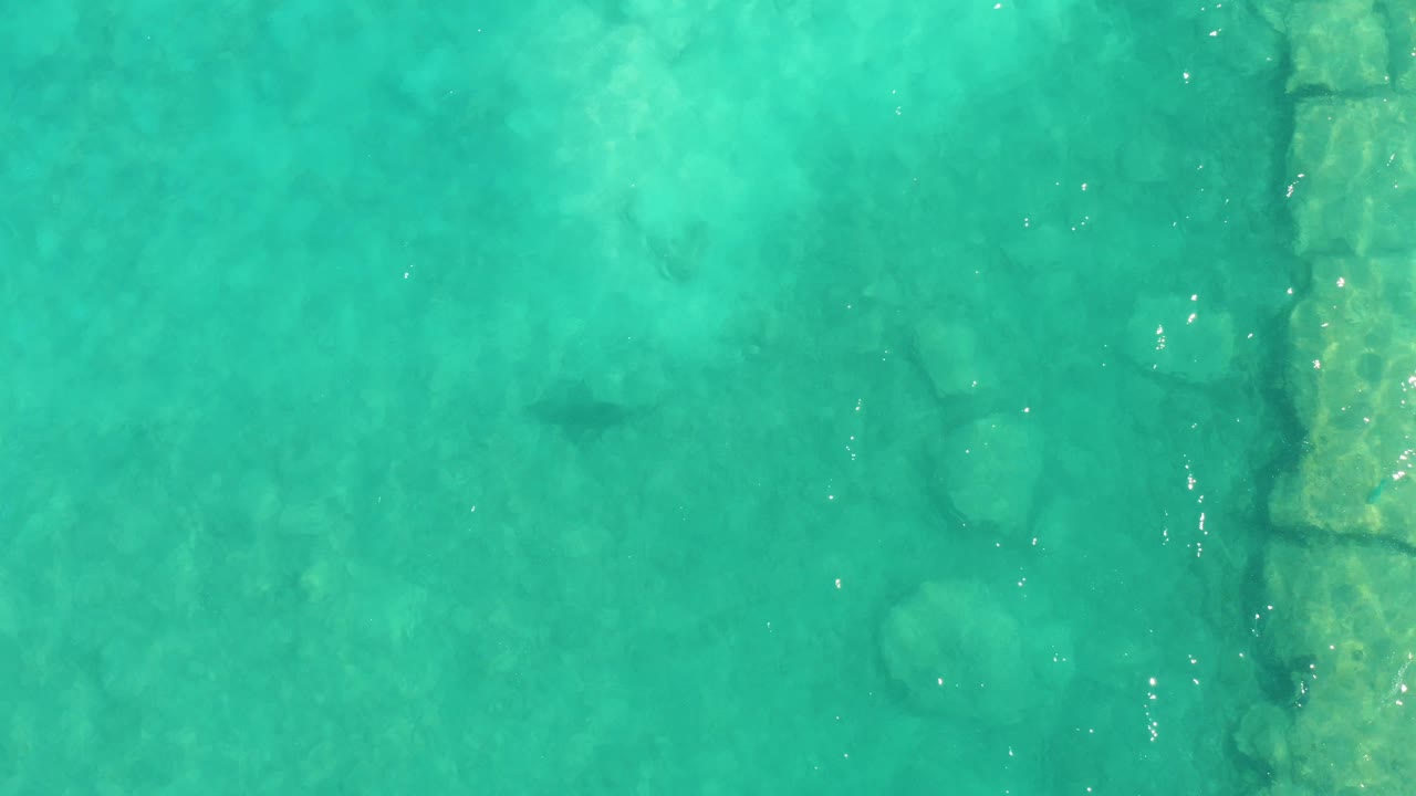 Fish under clear turquoise water near submerged stone edge