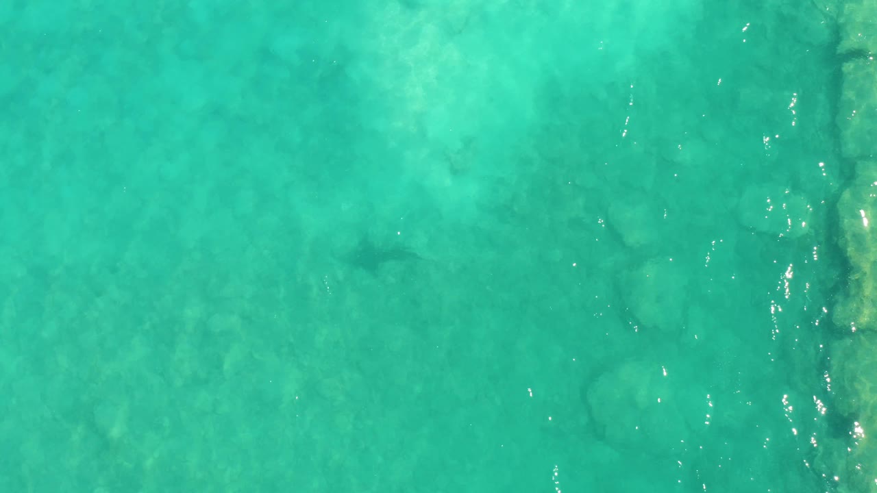 Clear turquoise water in Cabo Pulmo fills the frame, with a dark fish silhouette below the surface, scattered rocks, bright ripple highlights, and no visible people.