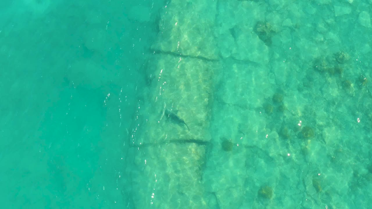 Overhead Cabo Pulmo frame with the underwater stone structure slightly right of center, pale rocks around it, small ripples, and no visible people.