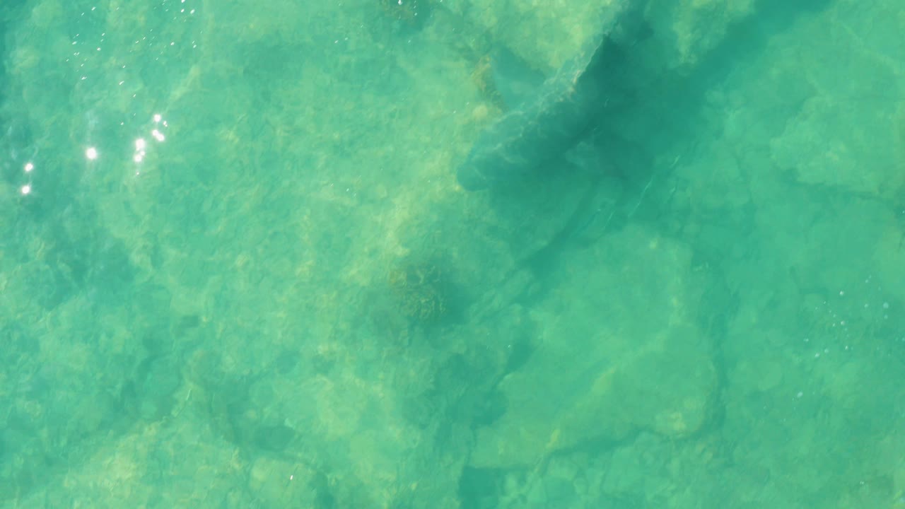 At 0:02, the shark reads as a dark silhouette under green-blue water, crossing a textured rocky seabed in Cabo Pulmo with no visible people.