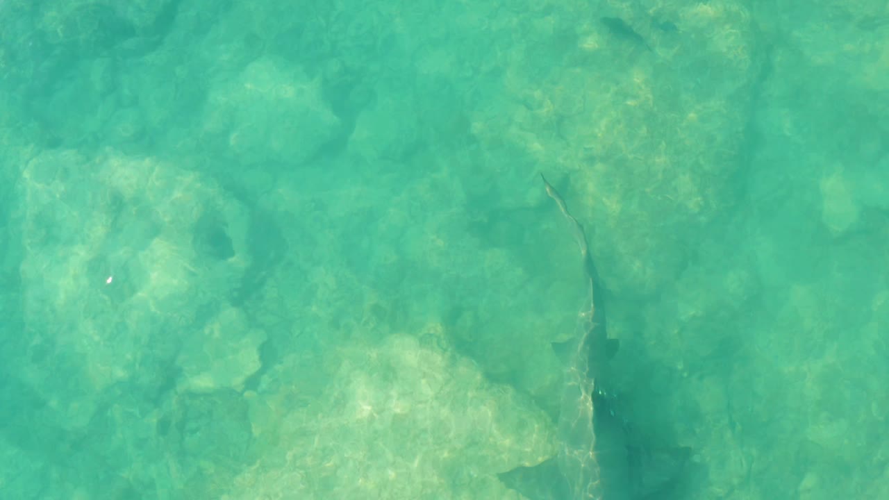 Clear green-blue water reveals rounded rocks and darker cracks on the Cabo Pulmo seabed, with no visible people.