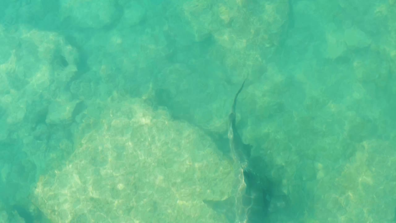 Overhead Cabo Pulmo water view with pale rocks, turquoise color, and a faint dark fish-like shape near the right side, with no visible people.