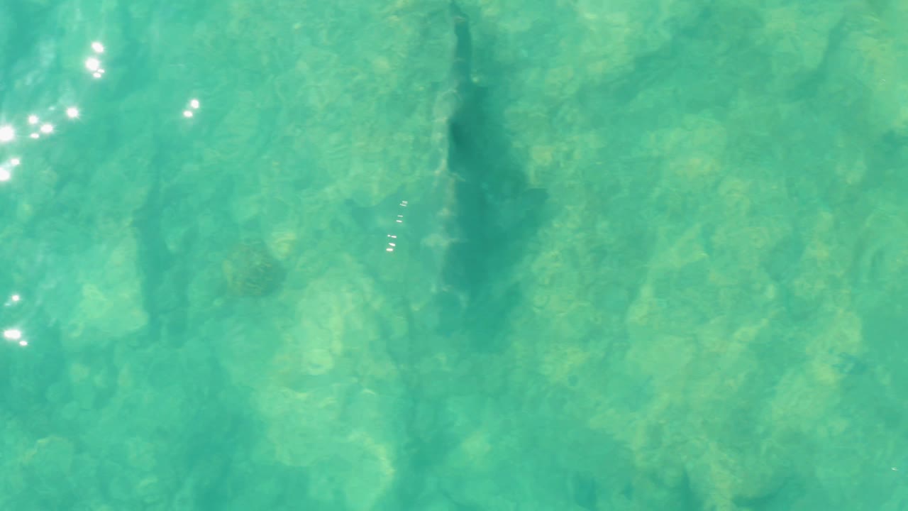Turquoise shallow water over rocks with dark fish shapes