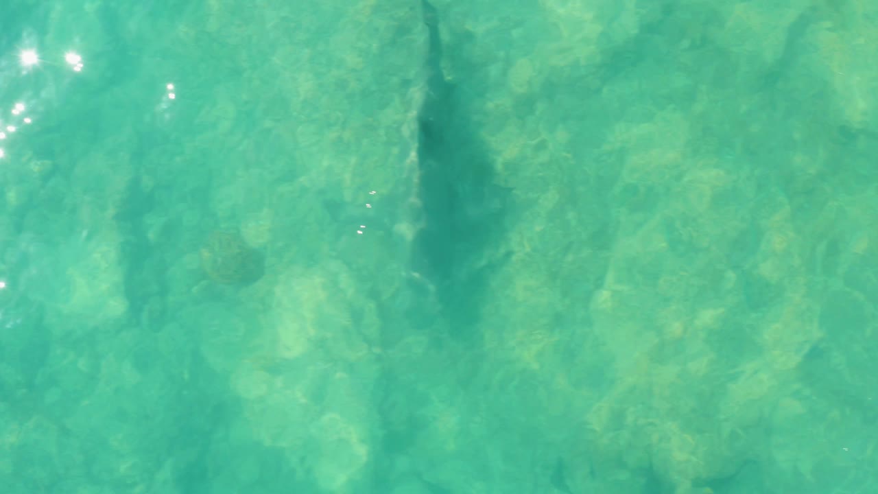 Clear shallow water in Cabo Pulmo shows a rocky seabed, scattered dark fish, faint wave texture, bright surface glints, and no visible people.