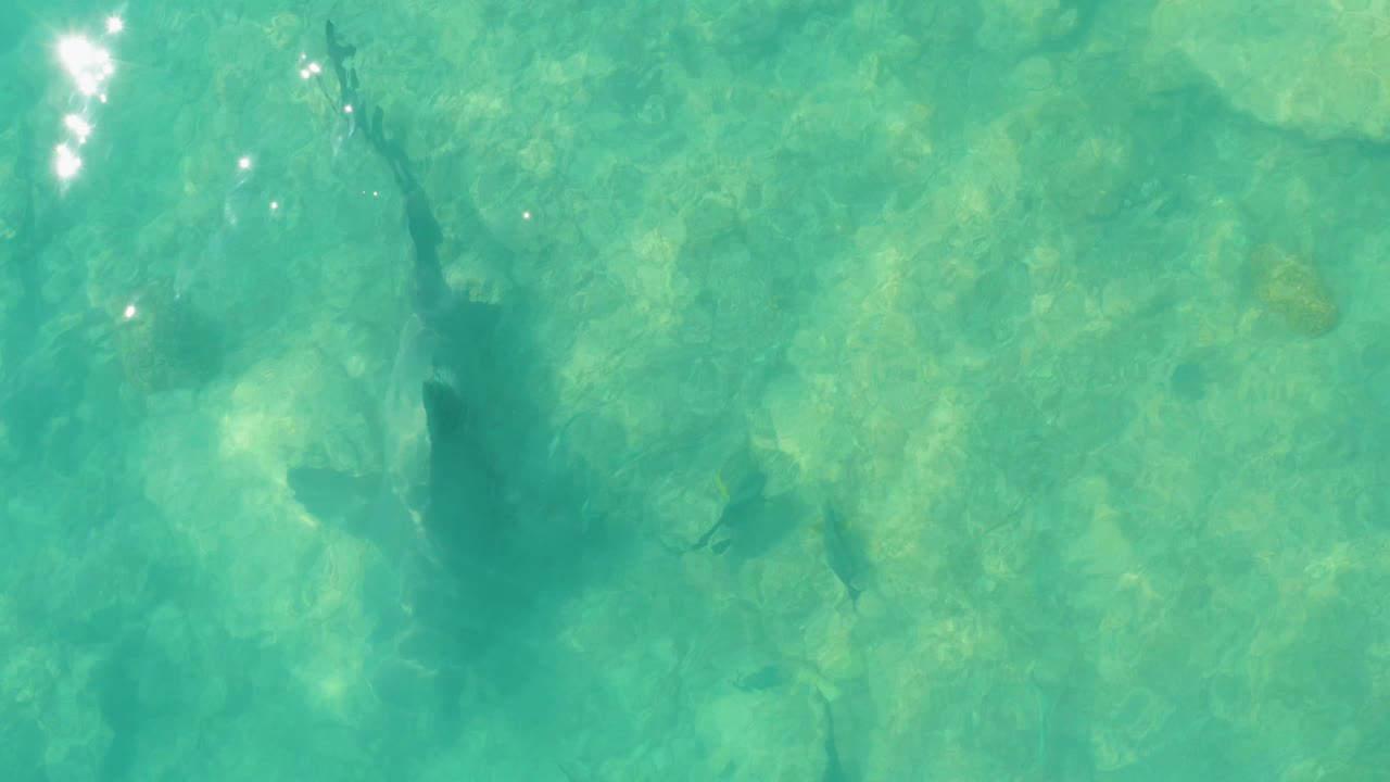 An overhead Cabo Pulmo water frame shows green-blue shallows, a rocky bottom, fish shapes near the left edge and lower area, light surface shimmer, and no visible people.