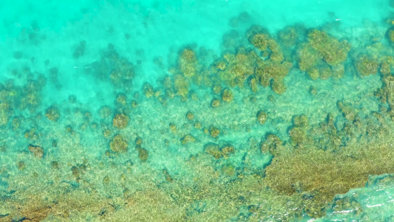 Overhead turquoise water with coral reef patches and pale seabed