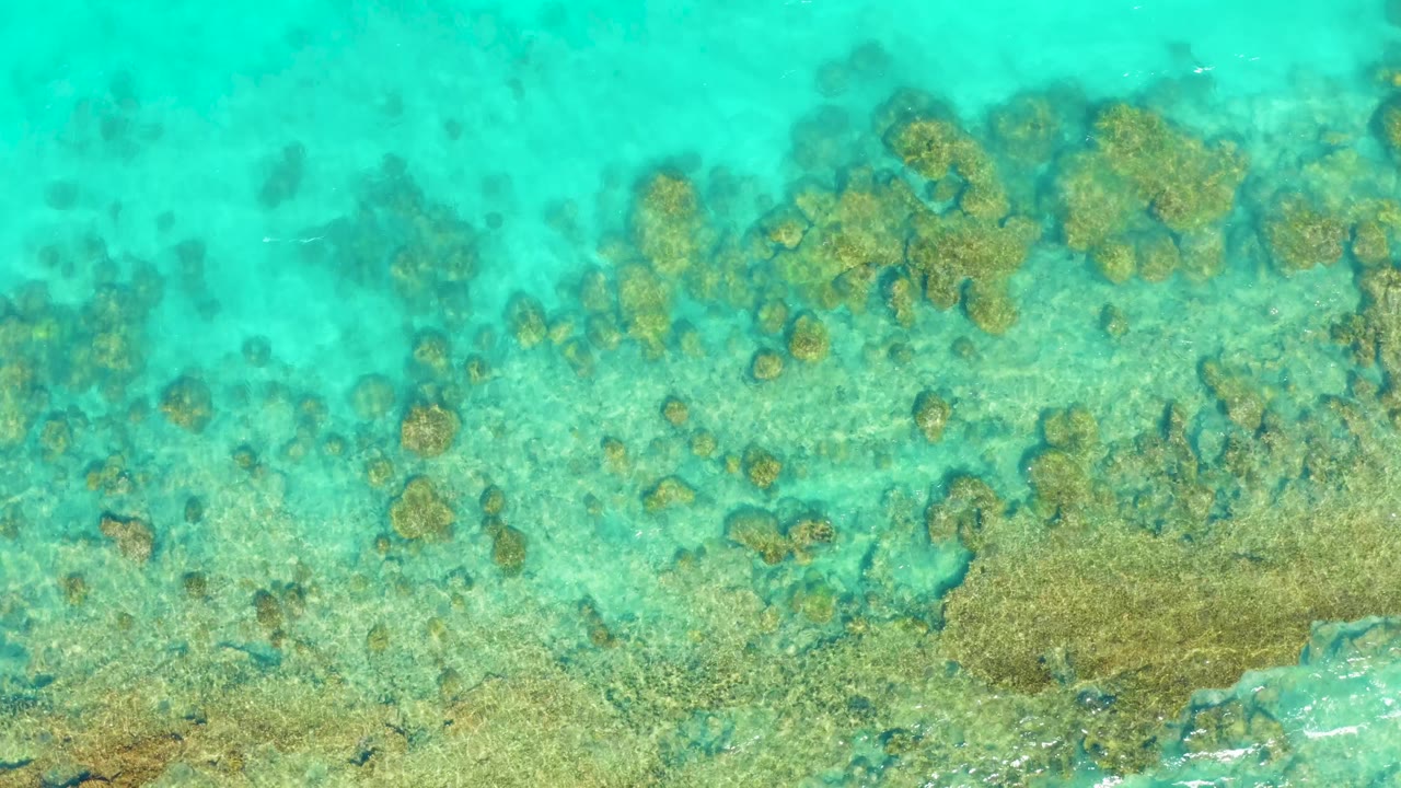 Cabo Pulmo shallow ocean seen from above, with clustered brown coral formations across the upper frame, pale seabed below, and no visible people.