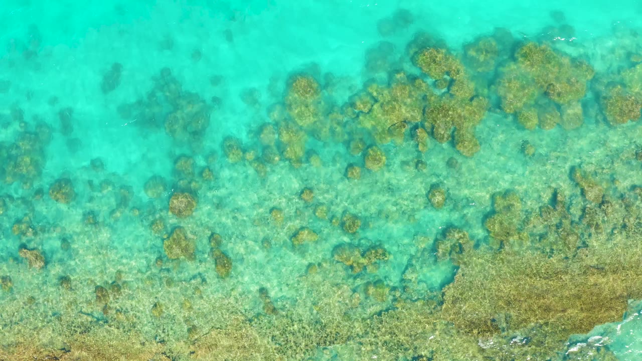 Overhead aerial frame from Cabo Pulmo with reef patches spread from center to lower right, clear green-blue water, rippled highlights, and no visible people.