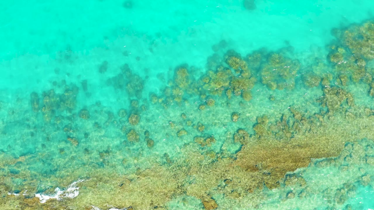 Clear turquoise water covers tan and green reef patches in Cabo Pulmo, with a thin white foam line along the lower left edge and no visible people.