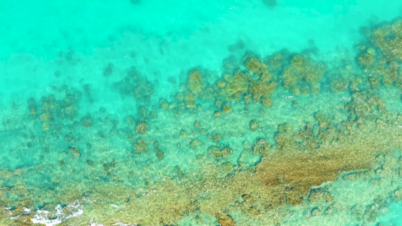 Overhead reef texture spreads across clear turquoise water in Cabo Pulmo, with darker coral clusters near the upper right and no visible people.