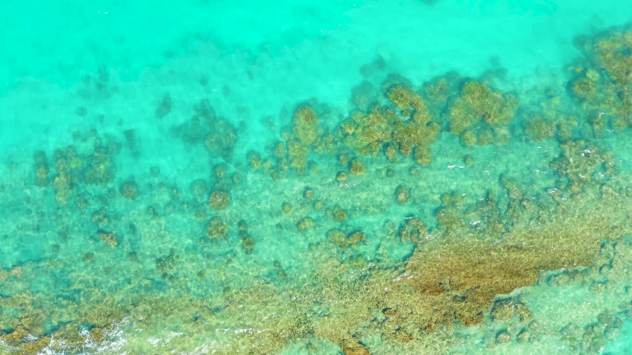 Shallow reef and sandy seabed sit under calm turquoise water in Cabo Pulmo, with scattered coral heads across the center and no visible people.