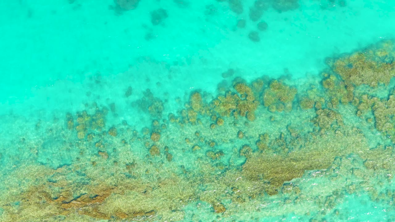 Overhead view of turquoise shallow water over a tan and brown coral reef in Cabo Pulmo, with darker reef patches near the top and no visible people.