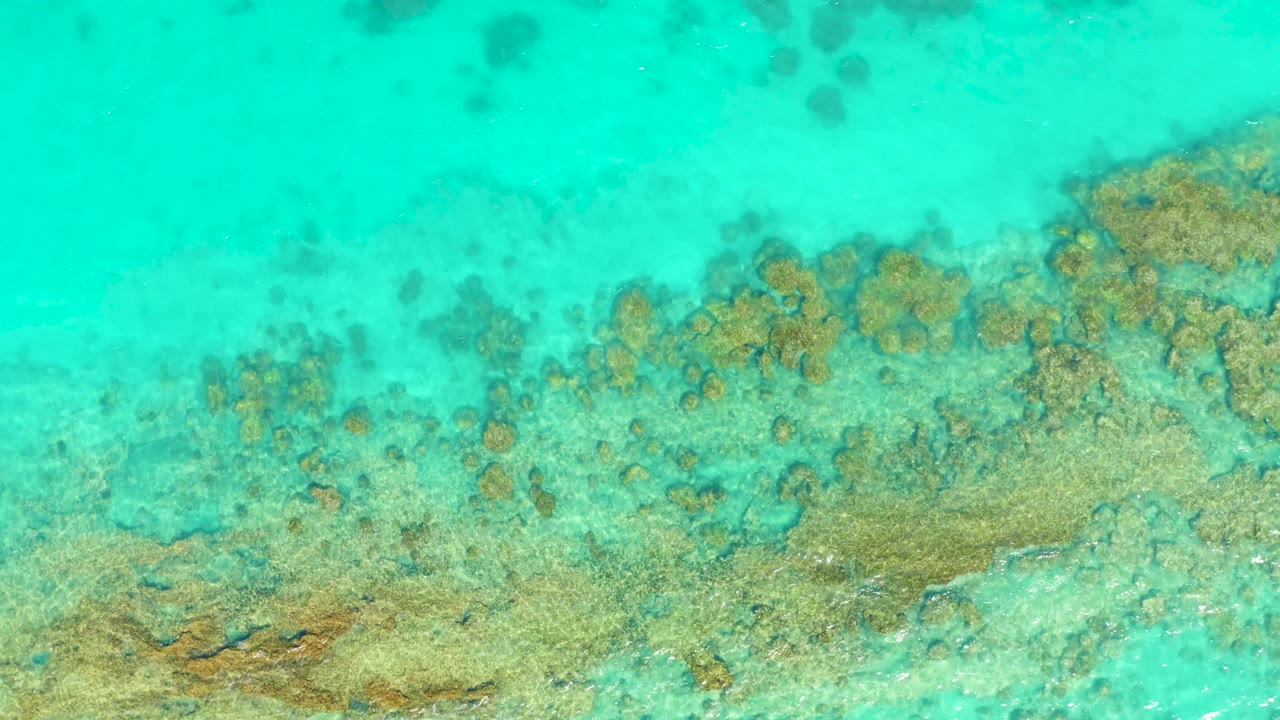 Turquoise ocean water reveals a patchy Cabo Pulmo reef below, with lighter sand pockets between coral clusters and no visible people.