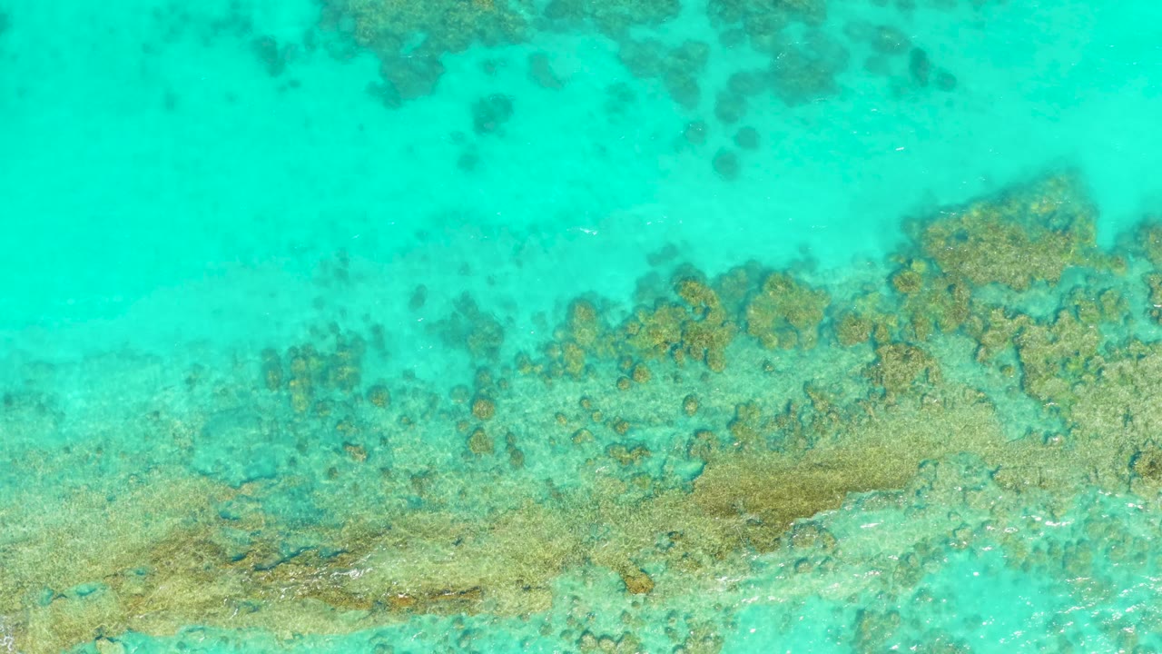 Top-down view of shallow turquoise water over tan and green reef patches in Cabo Pulmo, Mexico, with no visible people.