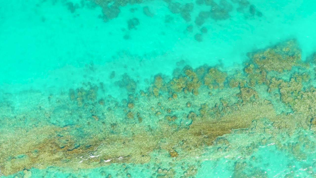 Aerial top-down frame of shallow turquoise sea, pale seabed, and clustered reef formations in Cabo Pulmo, Mexico, with no visible people.