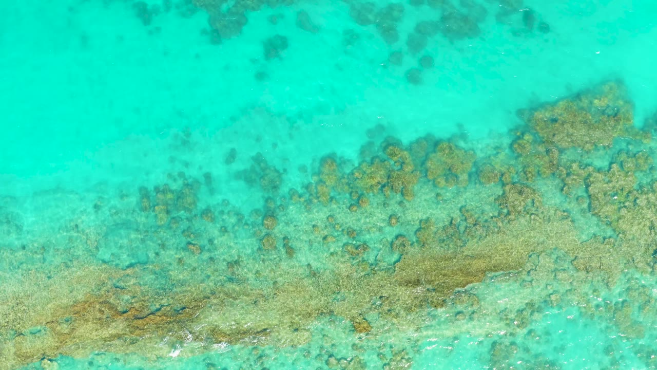 Turquoise water over coral and seabed textures.