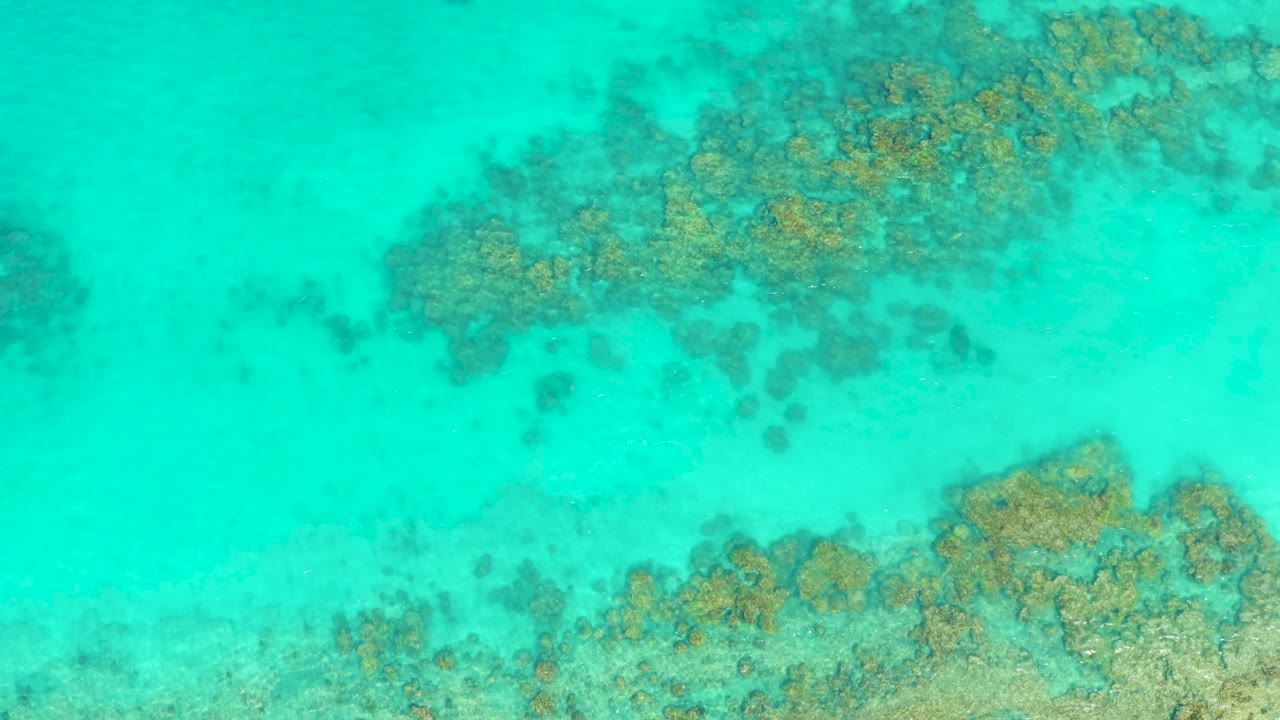 Aerial frame looking down at shallow turquoise sea and reef texture near Cabo Pulmo, with no visible people or boats.