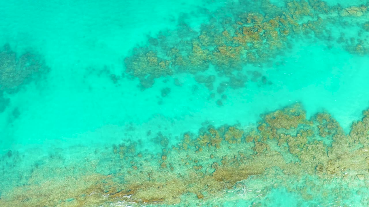 Clear shallow sea in Cabo Pulmo shows brown and tan reef patches under turquoise water, with no visible people or structures.