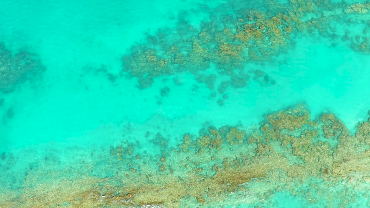 Overhead Cabo Pulmo frame with shallow turquoise water, coral clusters near the upper and lower edges, and no visible people.