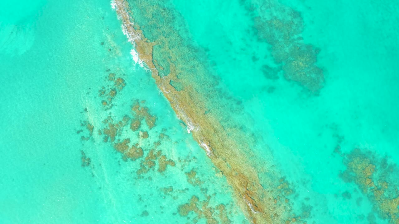 Overhead Cabo Pulmo frame with bright turquoise water, a pale diagonal sandbar, scattered darker reef texture, and a thin white wave break, with no visible people.