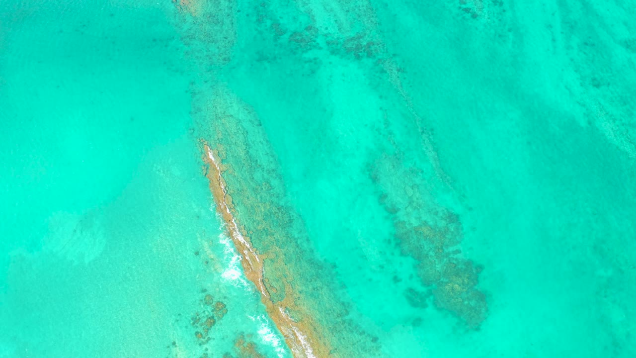 A later overhead frame in Cabo Pulmo shows the sandbar shifted slightly through turquoise water, with a pale shallow-water area beside it and no visible people.