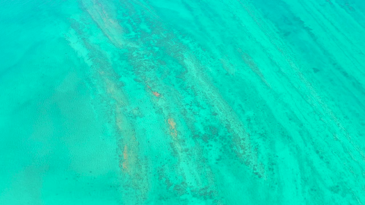 Turquoise shallow water over sand and coral with a small fish visible.